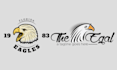make amazing eagle, falcon, phoenix logo within 24 hours