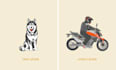 draw vector art based on your image