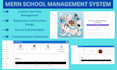 develop a professional mern stack website for you