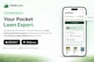 do website development as front end web developer using react js next js