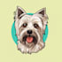 draw illustration pet portrait vector art