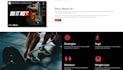 create professional, responsive and modern looking website