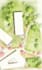 draw a professional architectural or landscape masterplan illustration