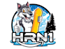 design a professional wolf logo