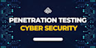 do penetration testing and provide cyber security