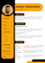 design professional resume maker and tech cv writing service