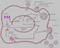 design and redesign a incredible diagram