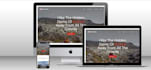 develop a professional website for your business