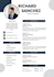 do professional resume writting editing and rewriting