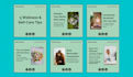 design social media posts and canva templates