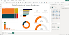 create professional power bi reports and dashboards