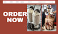 design shopify ice cream website cookies and  deseert dropshipping store
