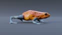 create realistic 3d model of animal or creature