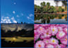 do professional nature photography for your projects