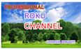 develop a professional roku channel