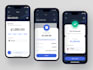 develop secure international money transfer app  fintech crypto payment gateway