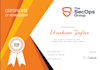 do penetration testing , application security