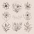 create boho hand drawn botanical feminine logo