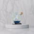 object animation , 3d modelling