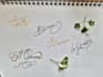 do custom handwritten or digital signature design with professional videography