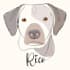 make one line drawing of your pet