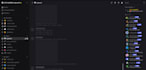 create a professional custom discord server with bots, roles, and design
