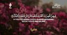 create quran verses videos with subtitles