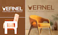 design a professional brand logo for your business