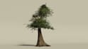 do 3d modeling in blender