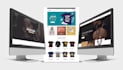 design or redesign a professional shopify store