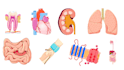draw scientific,medical illustration,diagrams, and figure for your thesis