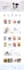 develop in 1 day a frontend website with HTML CSS javascript