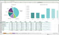 do data entry, cleaning, formatting spreadsheets, pivottable and charts