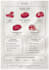 consult and design the best menu for your food venture