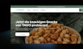 create a wordpress website