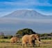 assist you plan your vacation in africa
