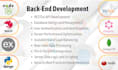 expert full stack developer