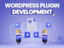 develop custom wordpress plugins and integrations