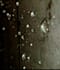 capture natures essence in every frame