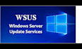 provide windows patch services
