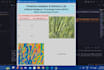 code machine learning models