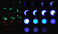 create pixel art spell animations