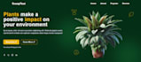 provide custom web development services
