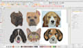 do cat dog and pet face embroidery digitizing with in hours