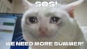 create viral memes that you want