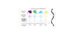 develop high quality graphical abstracts and illustrations