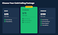 be your real estate cold caller and appointment setter