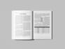 indesign book designer and layout typesetter formatter