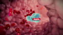 create 3d medical animation, anatomy, physiology and surgical video