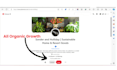 setup SEO optimized pinterest account with pins and boards
